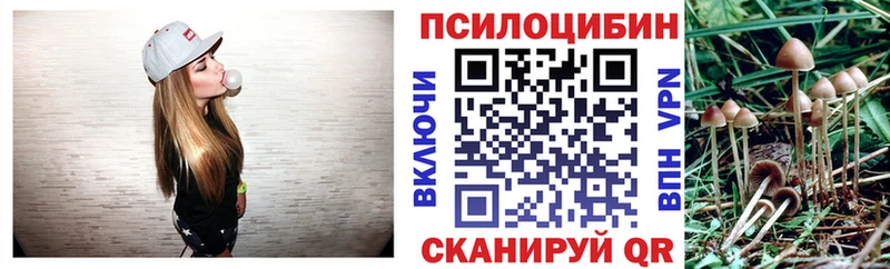 Галлюциногенные грибы GOLDEN TEACHER  продажа наркотиков  Медынь 